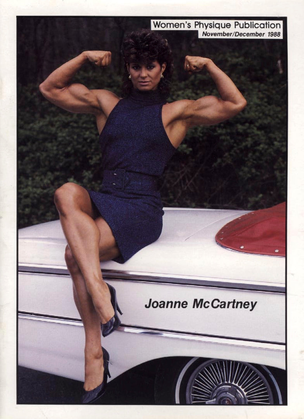 WPP November December 1988 Magazine Issue
 [Digital Download]