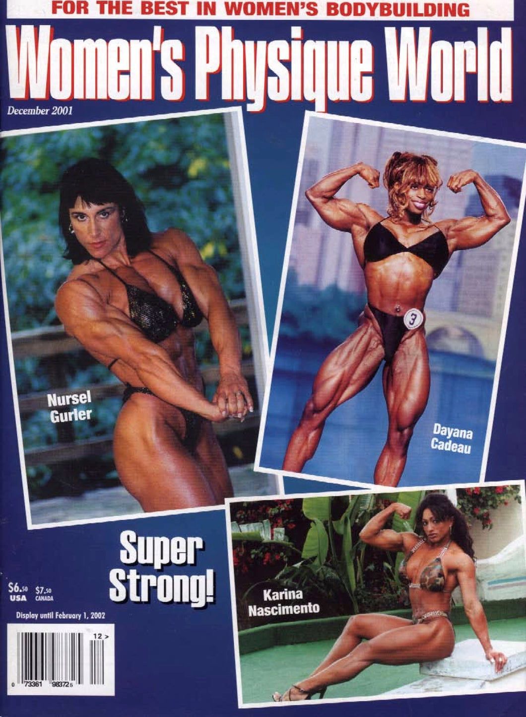 WPW December 2001 Magazine Issue