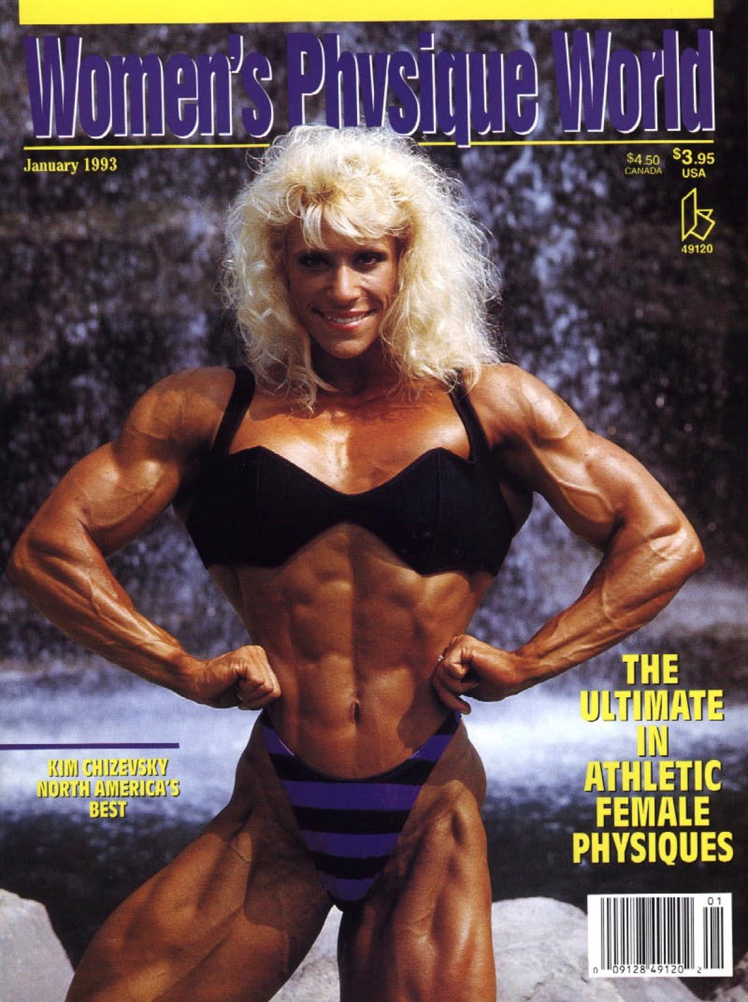 WPW January 1993 Magazine Issue
 [Digital Download]