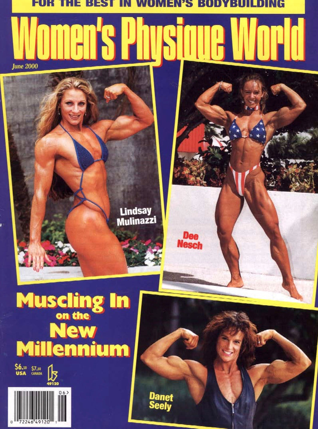 WPW June 2000 Magazine Issue
 [Digital Download]