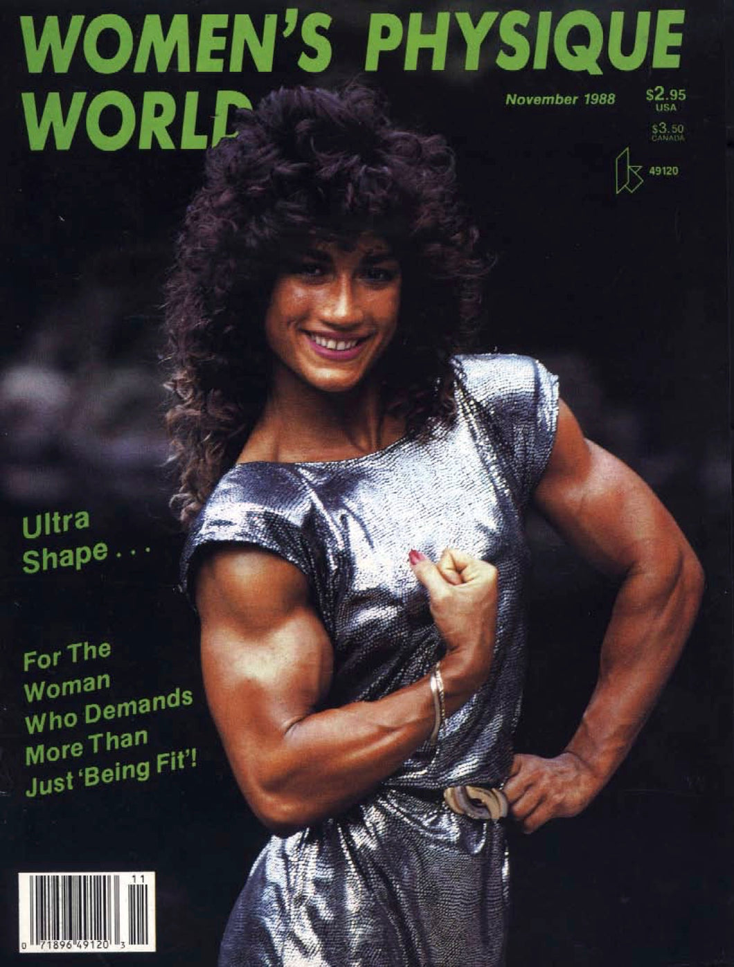 WPW November 1988 Magazine Issue
 [Digital Download]